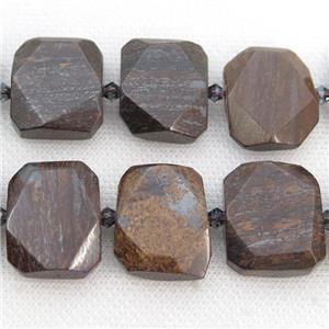 Bronzite Beads, faceted rectangle, approx 20-23mm
