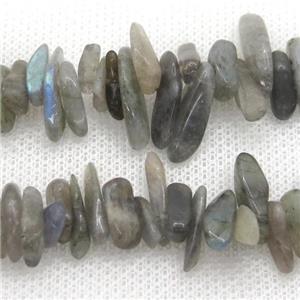 Labradorite chip beads, approx 4-12mm