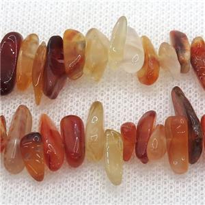 Carnelian Agate chip beads, approx 4-12mm