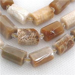 Coral Fossil beads, faceted tube, approx 12-18mm