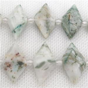 green Tree Agate rhombic beads, approx 13-28mm
