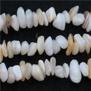 shell chip beads, approx 5-8mm