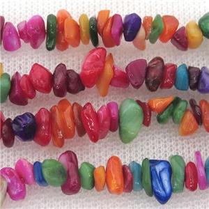 shell chip beads, dye, mix color, approx 5-8mm