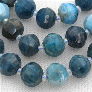 blue Apatite lantern beads, approx 11mm dia