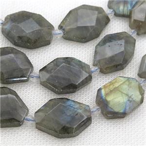 Labradorite Beads, faceted rectangle, approx 13-20mm