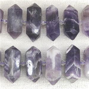 dogtooth Amethyst bullet beads, approx 12-30mm