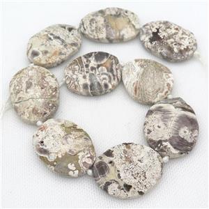 faceted Ocean Jasper slice Beads, freeform, approx 30-40mm