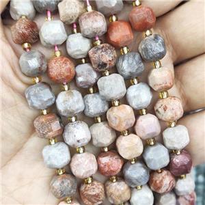 Coral Fossil Beads, multicolor, faceted cube, approx 8-9mm
