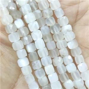 gray Moonstone cube beads, approx 4.5mm