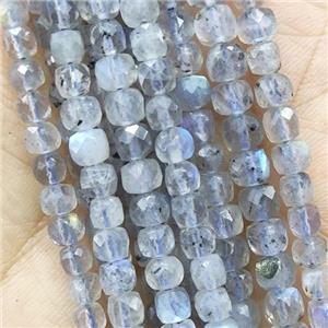 faceted Labradorite cube Beads, approx 4mm