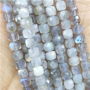 Labradorite Beads, faceted cube, approx 4.5mm
