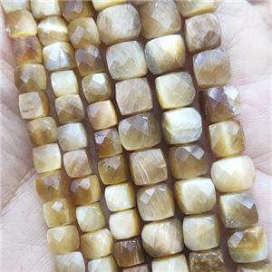 gold Tiger eye stone Beads, faceted cube, approx 5mm