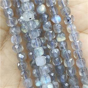 Labradorite Beads, faceted cube, approx 4.5mm