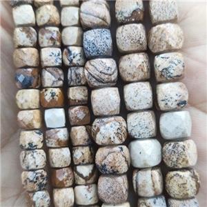 Picture Jasper Beads, faceted cube, approx 7mm