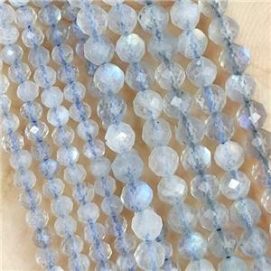 Labradorite Beads Faceted Round, approx 3mm dia