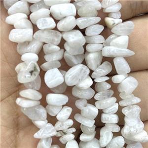 White Moonstone Chip Beads, approx 5-8mm, 36inch length