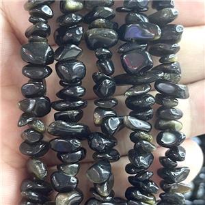 Gold Obsidian Chip Beads Freeform, approx 5-8mm, 36inch length