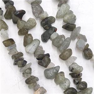Labradorite Chip Beads Freeform, approx 5-10mm, 32inch length