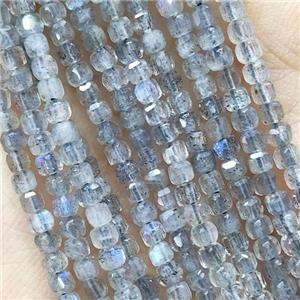 Labradorite Beads Faceted Cube, approx 2.5mm