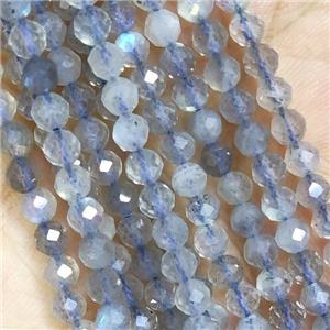 Natural Labradorite Beads Faceted Round AA-Grade, approx 4mm dia