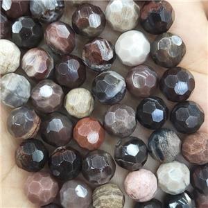 Wood Petrified Jasper Beads Multicolor Faceted Round, approx 8mm dia