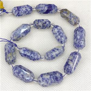Blue Dalmatian Jasper Beads Prism, approx 13-27mm, 12pcs per st