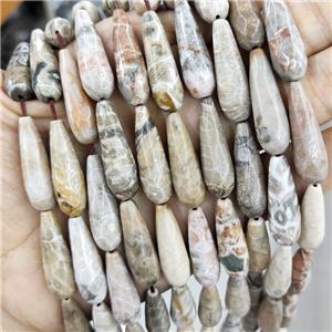 Natural Coral Fossil Beads Faceted Teardrop, approx 10x30mm, 13pcs per st