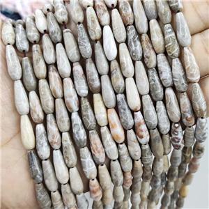 Coral Fossil Beads Faceted Teardrop, approx 6x16mm, 25pcs per st