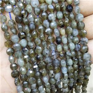Labradorite Beads Faceted Coin, approx 6mm