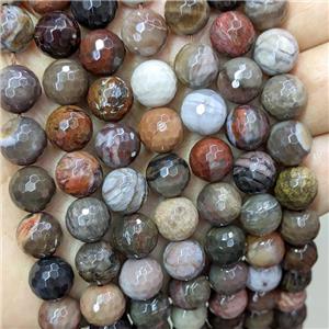 Natural Wood Petrified Jasper Beads Faceted Round Multicolor, approx 10mm dia