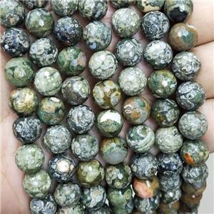 Green Rhyolite Beads Faceted Round, approx 8mm dia
