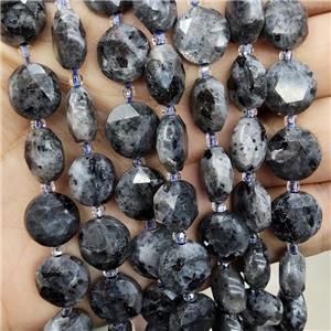 Natural Black Labradorite Beads Larvikite Faceted Circle, approx 12mm