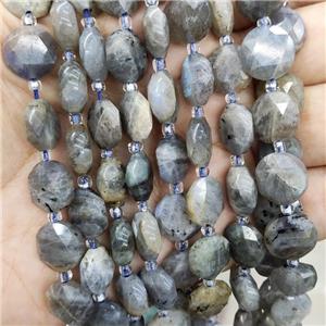 Natural Labradorite Beads Faceted Circle, approx 12mm
