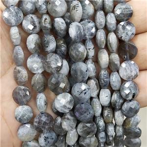 Natural Labradorite Beads Faceted Circle, approx 10mm