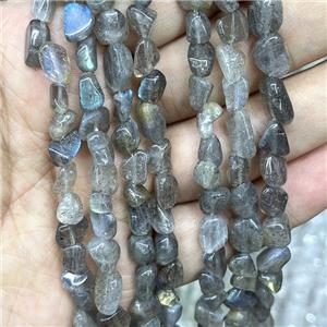 Natural Labradorite Chips Beads Freeform, approx 5-8mm