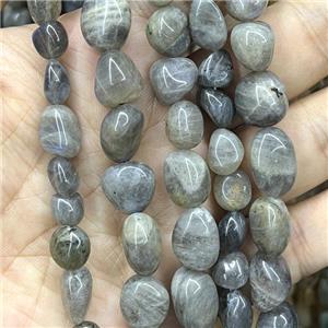 Natural Labradorite Beads Chips Freeform Polished, approx 8-10mm