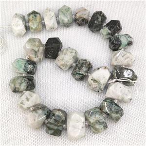 Natural Tree Agate Nugget Beads Green Dendridic Freeform, approx 13-20mm