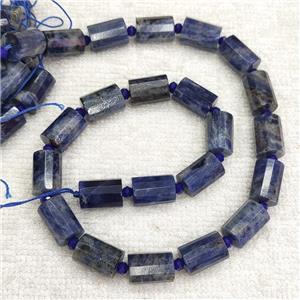 Natural Blue Sodalite Tube Beads Column, approx 10-14mm