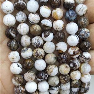 American Wooden Petrified Beads Smooth Round, approx 6mm dia