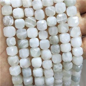 Natural Moonstone Beads Whitegray Faceted Cube, approx 8-10mm