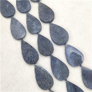 Blue Coral Fossil Teardrop Beads, approx 17-30mm