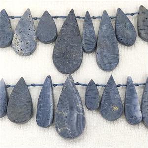 Blue Coral Fossil Teardrop Beads Topdrilled, approx 10-35mm
