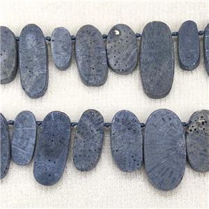 Blue Coral Fossil Oval Beads Topdrilled, approx 10-35mm