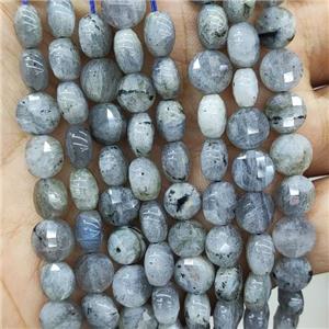Natural Labradorite Beads Faceted Circle, approx 8mm