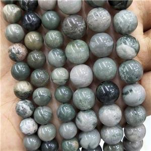 Natural Mud Jasper Beads Green Smooth Round, approx 6mm dia