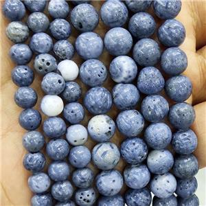 Blue Coral Fossil Beads Smooth Round, approx 8mm dia