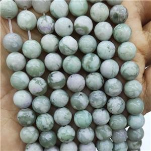Peace Jasper Beads Green Smooth Round, approx 6mm dia