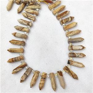 Natural Picture Jasper Bullet Beads, approx 8-30mm