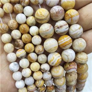 Natural Indonesia Crazy Lace Agate Beads Yellow Smooth Round, approx 12mm dia
