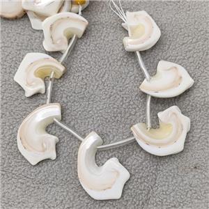 White Queen Shell Slice Beads Freeform Topdrilled, approx 20-40mm, 20cm length